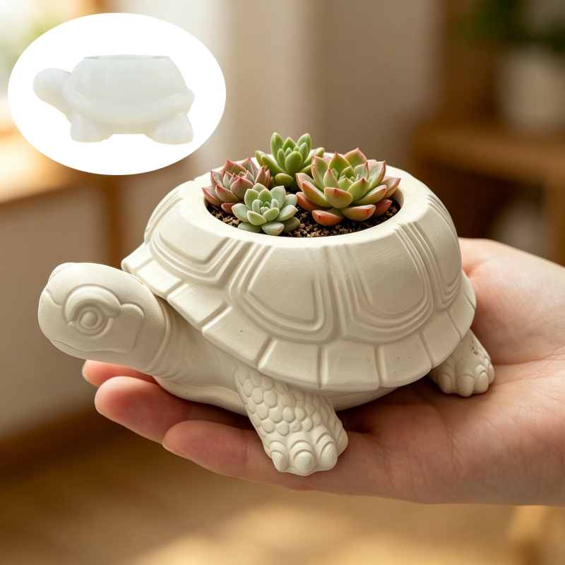 Turtle shaped succulent plant  - Potsticker Mold 评论和价格