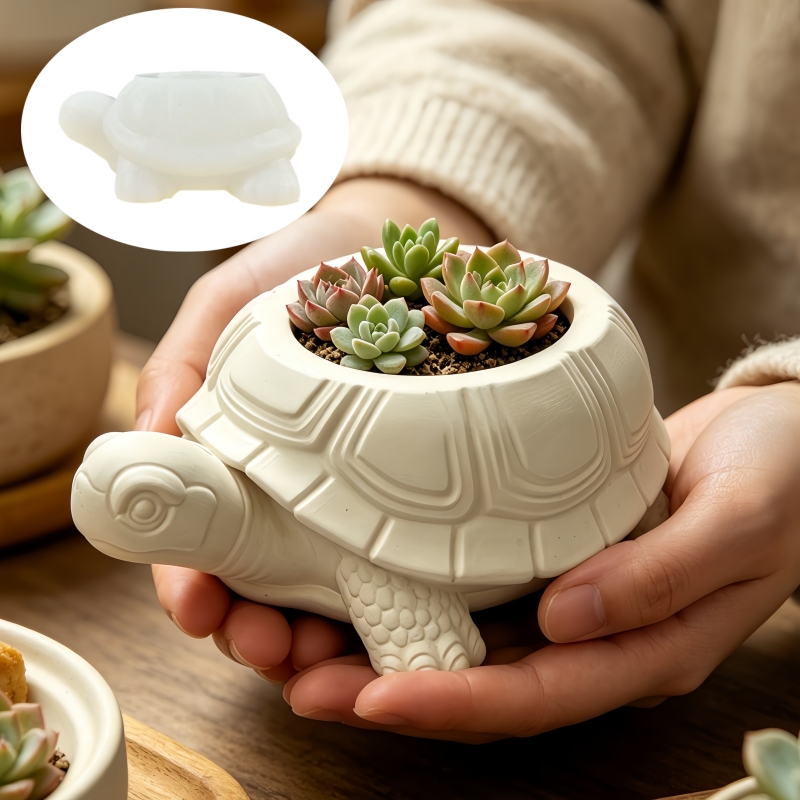 Turtle shaped succulent plant  - Potsticker Mold 评论和价格